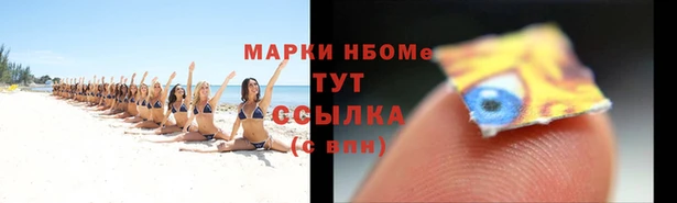 крисы Алзамай
