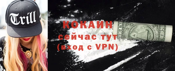 ECSTASY Сафоново