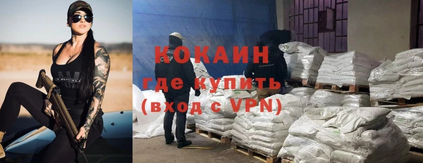 крисы Алзамай