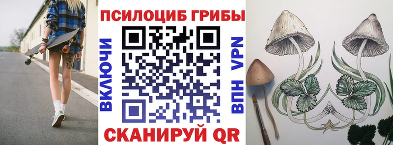 Псилоцибиновые грибы GOLDEN TEACHER  Ликино-Дулёво 